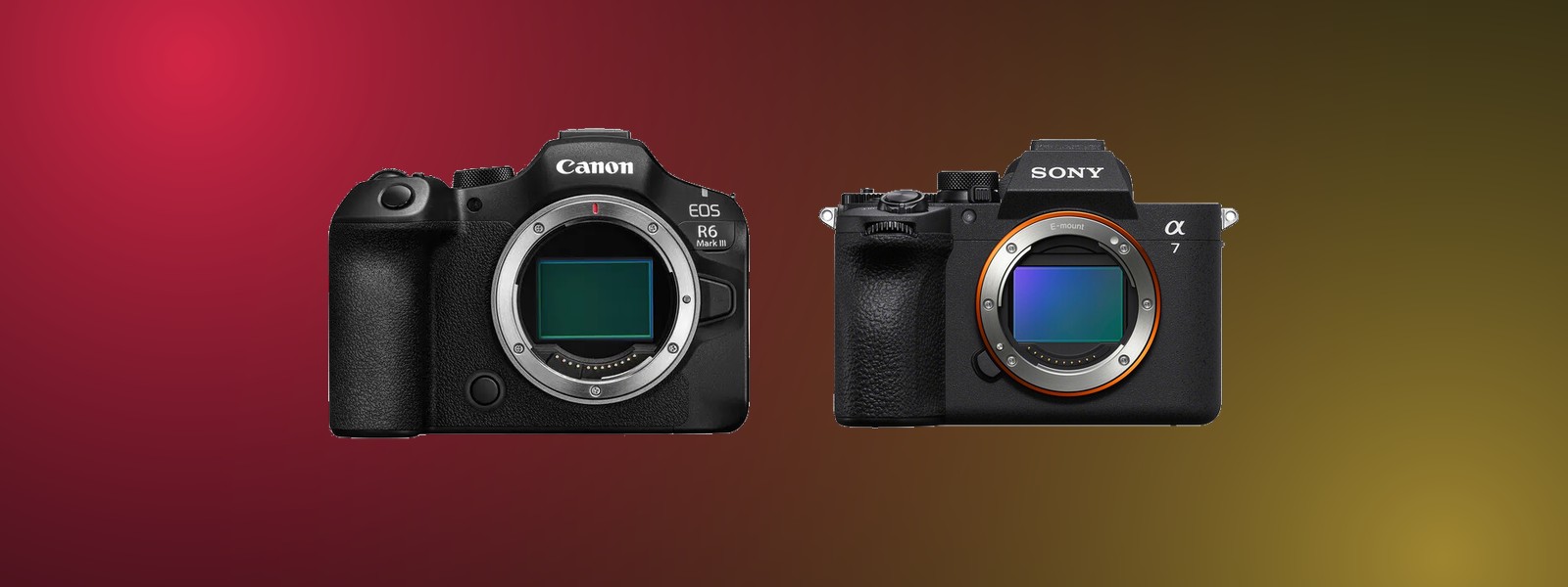 Canon EOS R6 Mark III vs Sony a7 V: Which Hybrid Flagship Fits You? (2026)