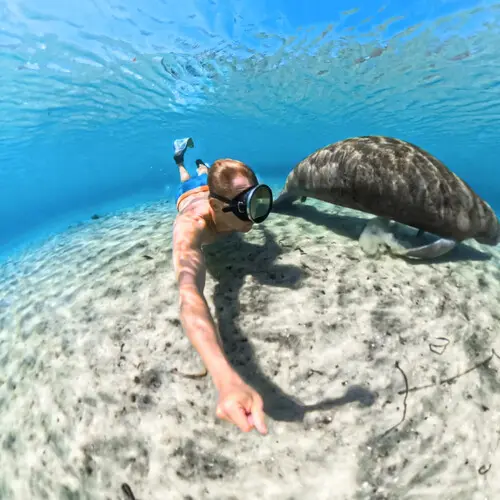 Insta360 X5 Invisible Diving Case CINSBAHJ — photo 5