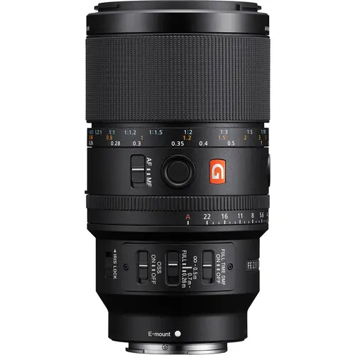 Sony FE 100mm f/2.8 Macro GM OSS Lens (Sony E) SEL100M28GM — photo 1