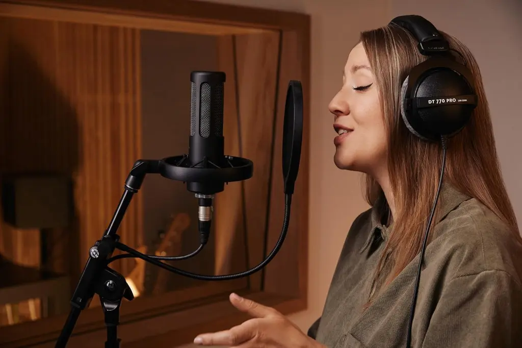 Beyerdynamic DT 770 Pro 80 OHMS Closed-back Studio Mixing Headphones — photo 3