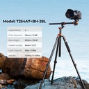 K&F Concept KF09.119 tripod T254A7 with BH-28L head — key specifications