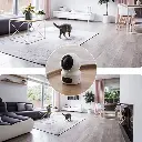 bdcbadbedd8ae738fdb6c2a4b107ca8b-hi.webp