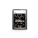 61v7xkKaOXL._SL1500_.webp