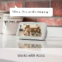 61zmJHLKmYL._SL1000_.webp