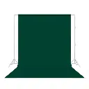 backgrounds-savage-seamless-background-paper-sa-18-12-01.webp