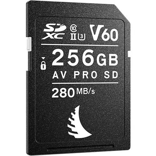 angelbird_avp256sdmk2v60_256gb_av_pro_mk2_1667833520_1527890.webp
