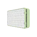 amaranAce_-4_ccffe25c-c1b7-48b8-9568-6a57986e0e93.webp