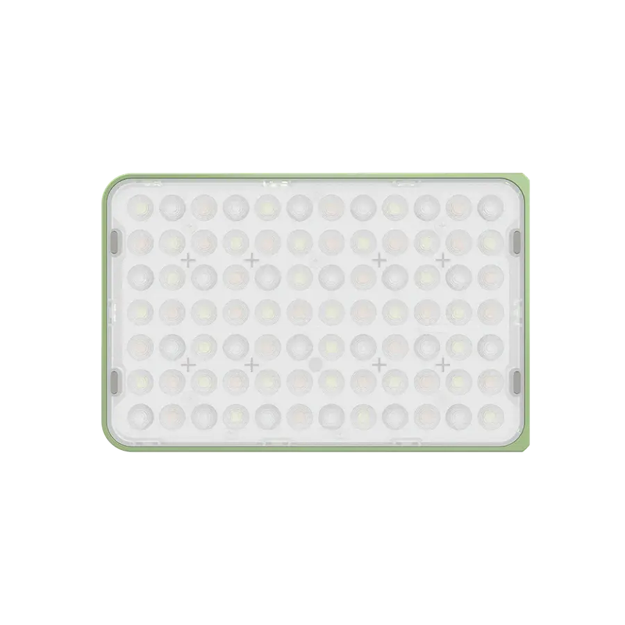 amaranAce_-5_3ab6fa6a-2c35-41c7-a091-ad02b6d738d3.webp