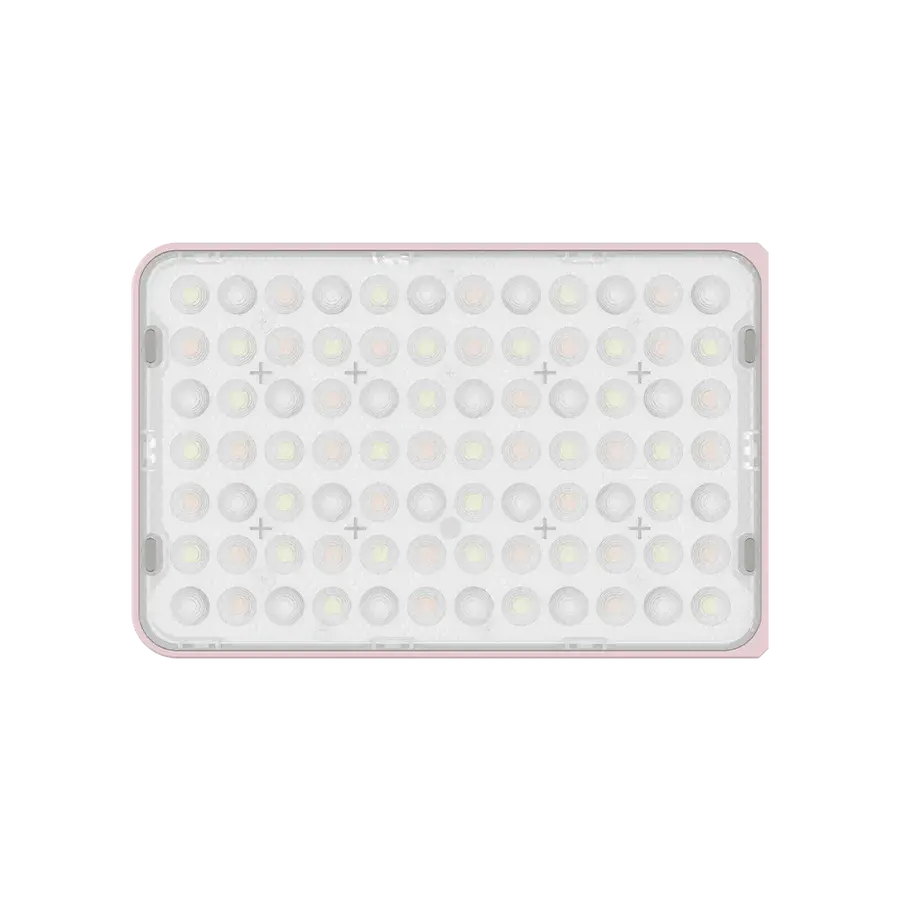 amaranAce_-5_e4d45dd0-0258-4adf-bc90-0e29536f97e8.webp