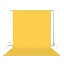 backgrounds-savage-seamless-background-paper-sa-4-12-01.webp
