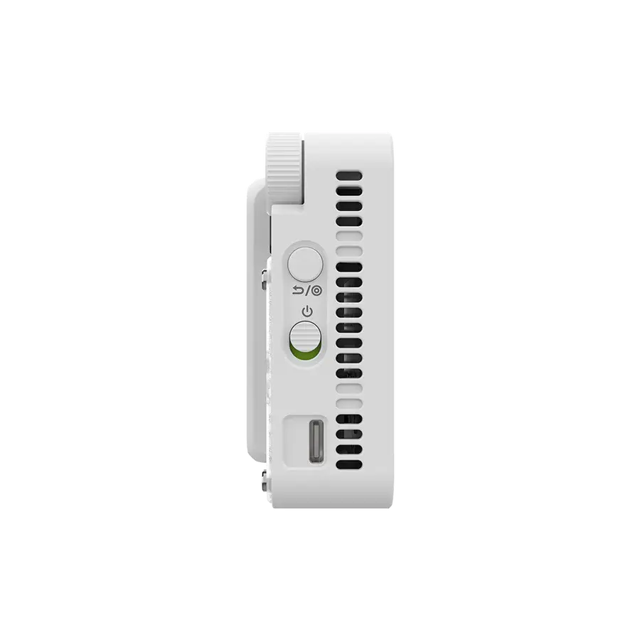 amaranAce_-1_dabccf38-1476-41a8-bb82-8ab07ea2f822.webp