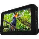 Atomos Shinobi 5.2in HDMI On-Camera Monitor (1080p panel, 4K input) — photo 2