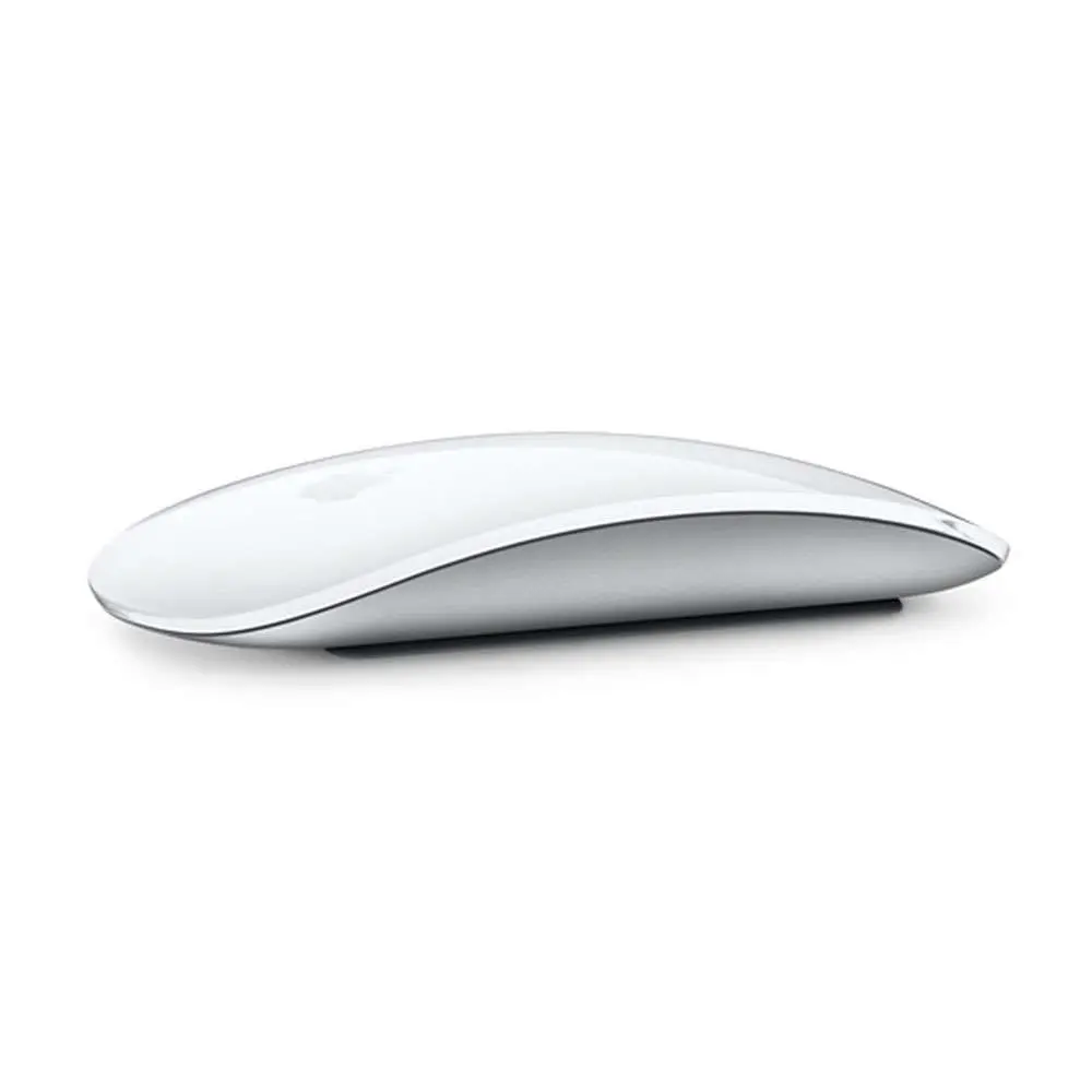 Apple Magic Mouse Silver Multi-Touch Surface With USB-C to Lightning Cable MK2E3