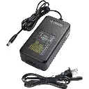 Godox G60-12L3 Lithium Battery Charger for AD600
