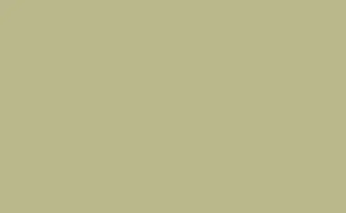 BD Seamless Backdrop Paper – Pistachio – 2.72×11m (BD223A1)