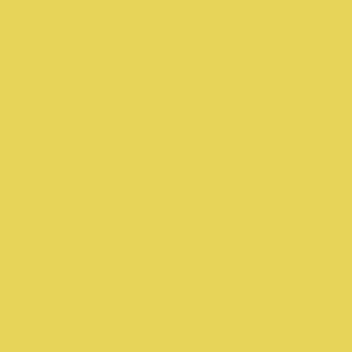 BD Seamless Backdrop Paper – Light Yellow – 2.72×11m (193BDA1)