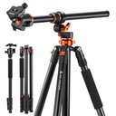 K&F Concept KF09.119 Camera Tripod with Ball Head (T254A7 Legs + BH-28L Head)