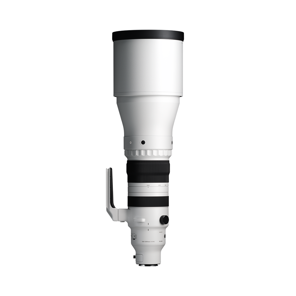 Sigma 300-600mm F/4 DG OS Sports Lens (Sony E-Mount)