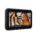 Atomos Shinobi 7 II 7-Inch 2800-Nit HDR Video & Photo Monitor with Camera Control (ATOMSHB005)
