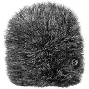 Rode WS12 Deluxe WindShield for Video Mic Go II