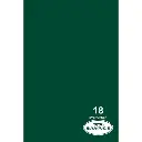 Savage Widetone Seamless Bacdrop Paper Background Approx 2.75x11Mtr 107x12YDS (Green)