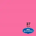 Savage Widetone Seamless Bacdrop Paper Background Approx 2.75x11Mtr 107x12YDS (Tulip) 
