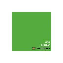 Phototech PTP-54 2.7x10m 180gsm Seamless Background Paper - Green Chroma (Stinger)