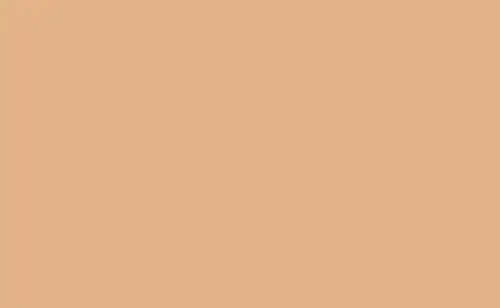 [BD279A1] BD Seamless Backdrop Paper – Cashmere – 2.72×11m (BD279A1)