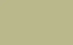BD Seamless Bacdrop Paper Background Approx 2.72x11Mtr PISTACHIO BD223A1