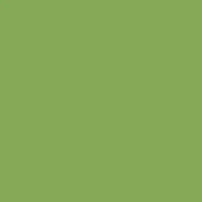 [132BDA1] BD Seamless Backdrop Paper – Veri Green – 2.72×11m (132BDA1)