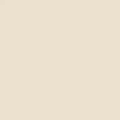 BD Seamless Bacdrop Paper Background Approx 1.35x11Mtr 106BDA2